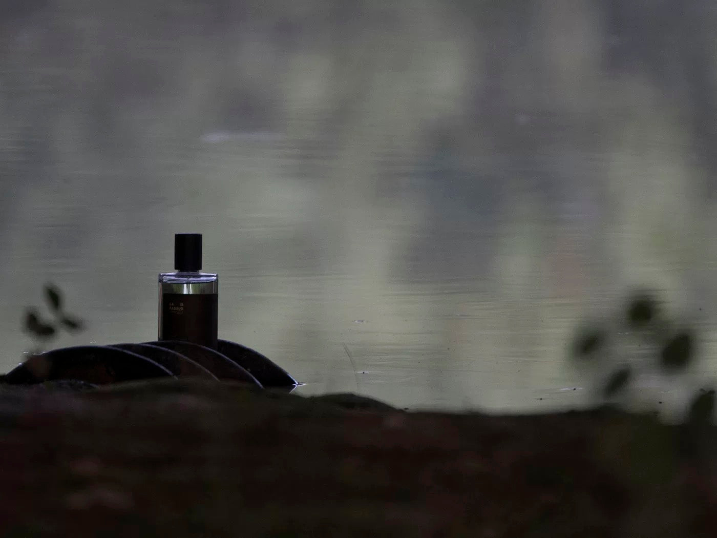 Eau de Toilette | Aura